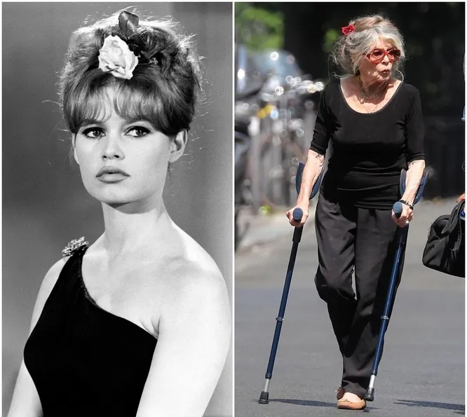 BRGITTE BARDOT 0ecc241035acdb49fb43ca7fb04b593b_cropped_666x595